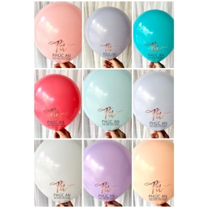 Set 10 bóng cao su pastel 10inch trang trí sinh nhật và tiệc