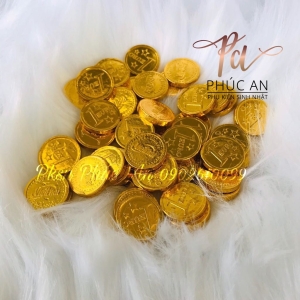 Túi 1kg đồng tien socola nhí Việt Thái trang trí bánh kem HPBD